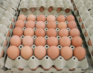 За два місяці 2019 року виробництво яєць зросло на 6,8%
